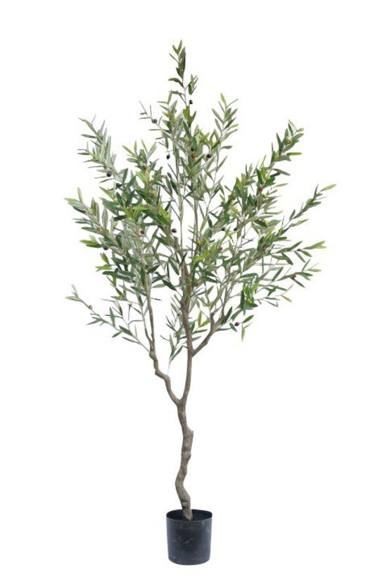 Olive Faux Tree Potted 210cm