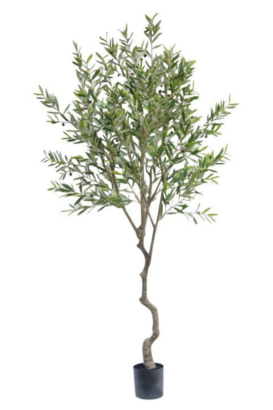 Olive Faux Tree Potted 2.4m