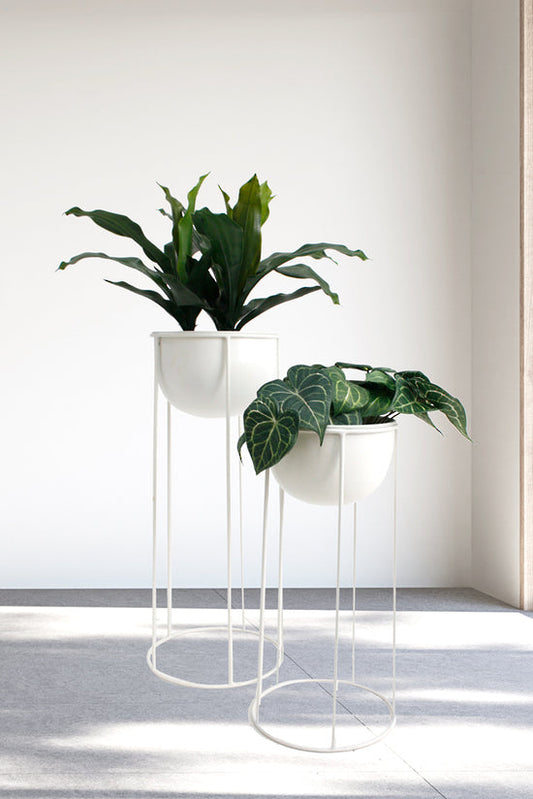 Ezra Planters on Stands Set/2 White